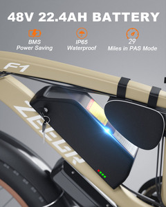 סין ZEEGR 48V 2000W 22.4Ah Ebike קדמי השעיה Mtb אופניים חשמליים שומן צמיג אופני הרים חשמליים - Product Image 2