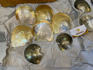 Pearl Of Mother Shell Shiny Vietnam Material For Handicraft Jewelry Inlay Furniture Decor Plate Factory Best Price For Wholesale - Product Image 6
