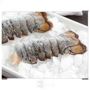 Homards de qualité commerciale pour les programmes d'approvisionnement en fruits de mer à grande échelle et les marchés du commerce international - Product Image 2
