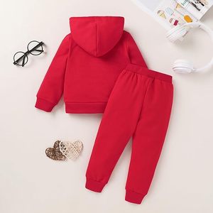 Conjunto de Sudadera y Pantalones Deportivos para Bebés y Niños Pequeños, Ropa Deportiva para Otoño e Invierno, Sudadera con Capucha Cálida y Pantalones a Juego - Product Image 2