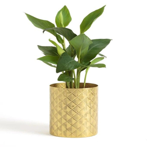 Brass Flower <b>Pot</b> With Hand Carved Feather Pattern <b>Vintage</b> Rustic Design Indoor <b>Plant</b> Decor Round Flower Planter - Product Image 2