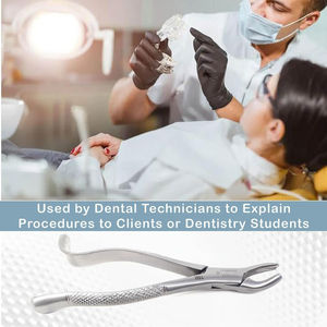 Fórceps de Extracción Dental de Acero Inoxidable, Agarre Ergonómico Manual, Certificado CE, Uso Preciso en Hospitales, Clínicas y Cirugía Oral - Product Image 2