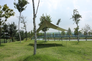Bâche CAMPTOWN HEXA TARP 300 multicolore, abri anti-UV, avec piquets de fixation au sol, en polyester résistant aux UV, imperméable, toutes saisons, facile à installer - Product Image 3