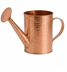 Regadera de Acero Inoxidable con Acabado Galvanizado, Duradera para Jardinería, Capacidad de 1.5L - Product Image 2