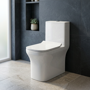 WC monobloc en céramique haut de gamme avec compatibilité S-trap et P-trap pour projets résidentiels - Product Image 6