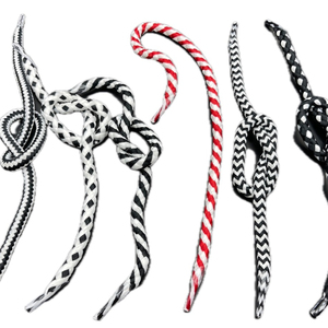 Nuevo Producto: Cuerda de Fibra Resistente de 3-6mm con Punta de Plástico, Color Personalizado, para Bolsas - Product Image 1