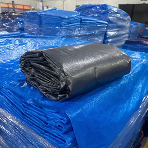 Bâche en PE argenté haute résistance et durable, offrant une excellente résistance à l'eau, disponible en couleurs et tailles personnalisées. - Product Image 6