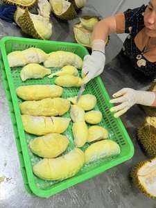 Mejor Precio en Pulpa de Durian Congelada IQF de Vietnam |   Polpa Dulce y Cremosa |   Fruta Entera y Pulpa de Grado de Exportación - Sra. Tarina - Product Image 4