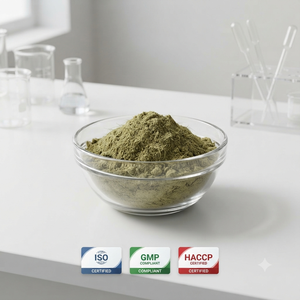 Polvo de Andrographis Paniculata Premium, Polvo de Kalmegh, Polvo de Hoja de Andrographis Paniculata Natural a Granel - Product Image 4