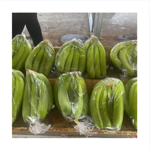 Plátano Cavendish Verde Fresco, Grado A, 13 kg, Fruta Tropical de Dong Nai, Vietnam, Marca 99D, Venta al por Mayor, 2 Meses de Duración - Product Image 1