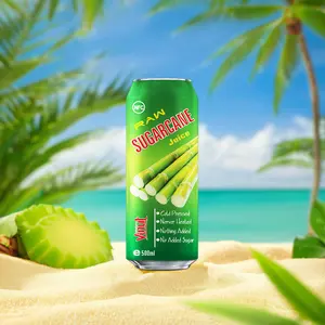 500ml Raw Sugarcane Juice Drink Vinut No Sugar Added Free Sample  Private Label  Wholesale Suppliers OEM  ODM