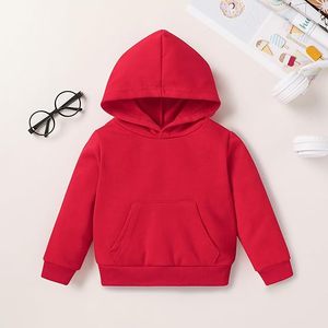 Conjunto de Sudadera y Pantalones Deportivos para Bebés y Niños Pequeños, Ropa Deportiva para Otoño e Invierno, Sudadera con Capucha Cálida y Pantalones a Juego - Product Image 3