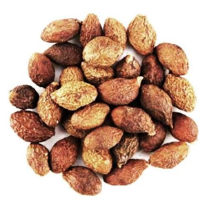 เมล็ดมัลวาแห้งคุณภาพพรีเมียมจากเวียดนาม (Scaphium Macropodum) สำหรับชาผลไม้ เครื่องดื่มสมุนไพร จัดจำหน่ายโดยโรงงาน - Product Image 3