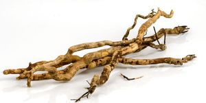 Copeaux de bois naturels de Tongkat Ali Long Jack Pasak Bumi, supplément à base de plantes séchées, aromathérapie, décoration intérieure, en vrac, emballage suivi des normes. - Product Image 4