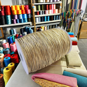 Hot Selling Metallic Bungee <b>Cord</b> <b>Elastic</b> Rope for Clothes Bags Shoes Home Textiles and Packaging for Garments - Product Image 1