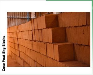 Factory Direct <b>Supply</b> of Wholesale Price Natural Quality Coco Coir Pith or Coco Peat 5kg Brick for Hydroponic Growers - Product Image 3