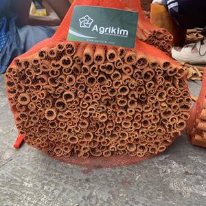 Prix de gros Vera Cassia de qualité supérieure soigneusement sélectionnés parmi les professionnels du commerce du Vietnam Contacter maintenant + 84 326055616 - Product Image 6