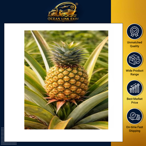 Piña Fresca Premium, Sabor Rico, Fruta Tropical de Granjas de Cultivo, para Venta al por Menor y al por Mayor en Mercados Internacionales, Ocean Link Exim - Product Image 2
