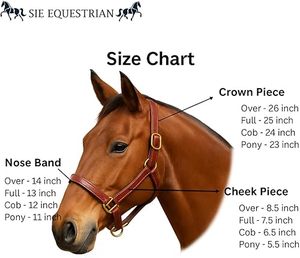 Harnais en cuir pour cheval anglais, design personnalisé, dernière collection, avec chaîne à fixation thermique durable, au meilleur prix - Product Image 5