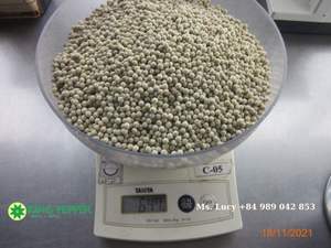 Vietnam Poivre Blanc 630GL Exportation d'Épices Naturelles, Épices Propres au Prix d'Usine de Phalco - Product Image 2