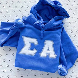 Sigma |   Sudadera con Capucha Bordada Alpha, Azul, Felpa, Unisex, Casual, con Logotipo Frontal, Corte Regular, para Otoño - Product Image 1