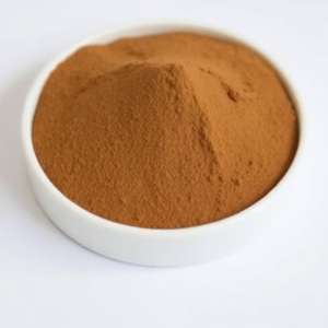 Poudre d'extrait de Coleus Forskohlii biologique certifiée Halal Jeeva, qualité alimentaire, issue de culture artificielle, M.O.Q. 1 kg HPLC - Product Image 1