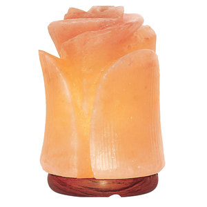 Lámpara de Sal del Himalaya de Diseño Elegante, Tallada, de Alta Calidad, Luz Cálida Moderna, Decoración para el Hogar, Estilo Elegante - Product Image 1