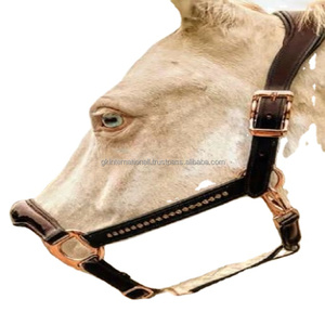 Cabestro de caballo acolchado de cuero Habana de diseño personalizado Premium con banda de Nariz de patente y accesorios ajustables de oro rosa de lujo - Product Image 1