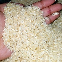 Livraison Rapide Fournisseur Direct d'Usine Riz Arborio Long Grain 100% Pur Biologique Qualité Supérieure Premium Sacs PP 25/50kg Prêts à l'emploi
