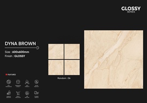 CARREAUX MURAUX DE SOL TAILLE 3 60X60CM 600X600MM CARREAUX DE SOL POLI DE BONNE QUALITÉ FABRICANTS DE L'INDE - Product Image 5