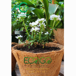 กระถางปลูกต้นกล้าจากใยมะพร้าวธรรมชาติย่อยสลายได้ EcoCrafts - Product Image 1