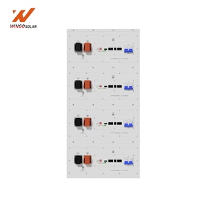 Sistema de Almacenamiento de Energía Doméstico T OEM ODM 51.2V 200Ah 10.24kWh IP21 - Product Image 6