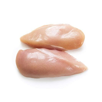 Prix promotionnel : Filet de poulet halal surgelé IQF, sans peau ni os, certifié, provenant d'un fournisseur allemand, conditionnement en vrac, qualité supérieure