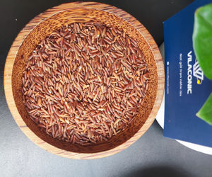 Arroz Blanco de Grano Largo Vietnamita Saludable, el Más Vendido de Chef Choice, Tien Giang, Cultivo Natural en Zona Especial, Bolsa BOPP de 5 kg, Exportación - Product Image 3