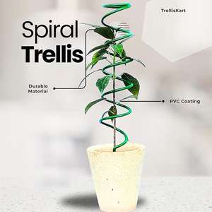 Premium Metal Spiral Plant <b>Support</b> Stake <b>Flower</b> Stem Plant Holder for Indoor Outdoor Garden Use - Product Image 5