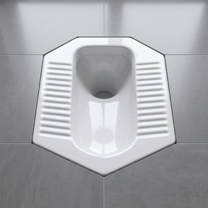 Inodoro de cerámica Vistaar Diamond GT Pan, sanitario oriental para constructores comerciales en África. - Product Image 1