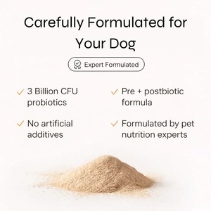 Friandises probiotiques pour chiens et chats : Soutien digestif, immunitaire et intestinal, pour une peau et un pelage sains et une digestion rapide. - Product Image 4