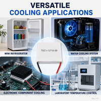 Module de refroidissement thermoélectrique Peltier TEC1-12715 15V 15A 133.3W 50x50mm, plaque de refroidissement semi-conductrice
