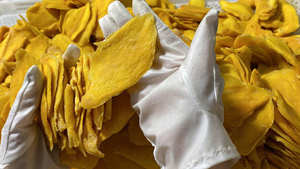 Mango Deshidratado en Rodajas, Bajo en Azúcar, Dulce, Fruta Tropical, Snack Premium, Suministro de Exportación, Venta al Por Mayor en Vietnam - Product Image 4