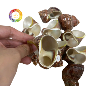 Anillos para Servilletas con Diseño de Concha Marina, Hechos a Mano en Vietnam, Duraderos y Ecológicos, Ideales para Fiestas de Cumpleaños, Hoteles y Restaurantes, Precio de Fábrica - Product Image 1