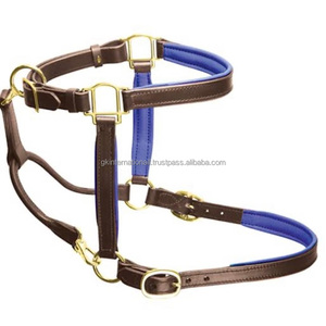Mejores ventas precio al por mayor productos de silla de montar ecuestre hecha a mano de cuero negro de primera calidad acolchado Halter caballo - Product Image 5