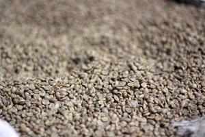 High Grade Vietnam Specialty Arabica Green Coffee <b>Beans</b> Size 16 Black Broken 0.1% USDA Certified TNFOOD Brand 1000kg Bulk Supply - Product Image 4