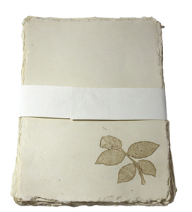 Papier de coton recyclé fait main A4 à bords festonnés (bords naturels) avec empreintes de vraies feuilles fraîches – Ensemble de papeterie moderne - Product Image 1
