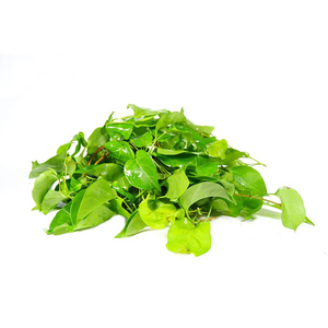 Hojas de Aganonerion Polymorphum Congeladas Premium para Sopa de Pollo, IQF, Caja de 10 kg, Exportador - Product Image 4