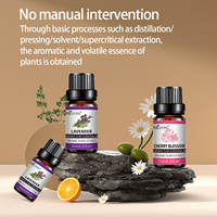 Minyak Esensial Mestin 10ml, Ekstrak Tanaman Alami 100%, Minyak Aromaterapi untuk Diffuser, Lavender, Mint, Mawar, Cendana, Label Pribadi