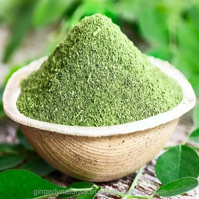Exporters Of Moringa Powder Obtained by Dried Moringa Oleifera Leaves at Lowest Price