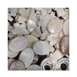 Pierres précieuses naturelles en nacre, morceaux irréguliers de nacre blanche pour la fabrication de bijoux - Product Image 1