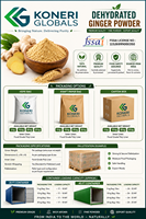 Poudre de gingembre déshydratée de qualité alimentaire pour soupes, sauces, currys, assaisonnements, aliments instantanés et applications en matière de boissons