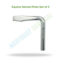 Ensemble de 3 cure-dents vétérinaires pour chevaux, instruments dentaires pour le nettoyage et l'examen buccal des chevaux