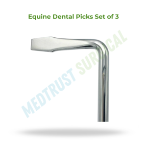Ensemble de 3 cure-dents vétérinaires pour chevaux, instruments dentaires pour le nettoyage et l'examen buccal des chevaux - Product Image 2